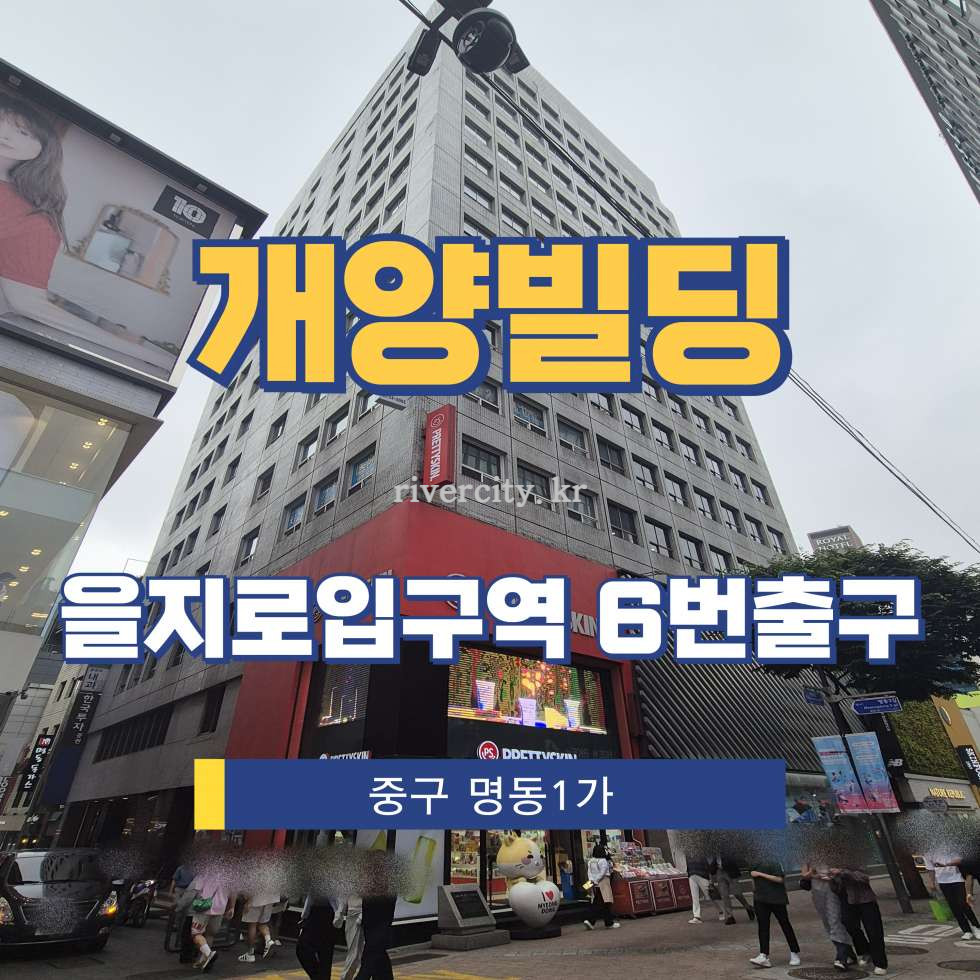 서울 중구 명동1가 54-8 [명동1가/개양빌딩] 을지로입구역 사무실 임대 월세 매물번호 15534 사진 1