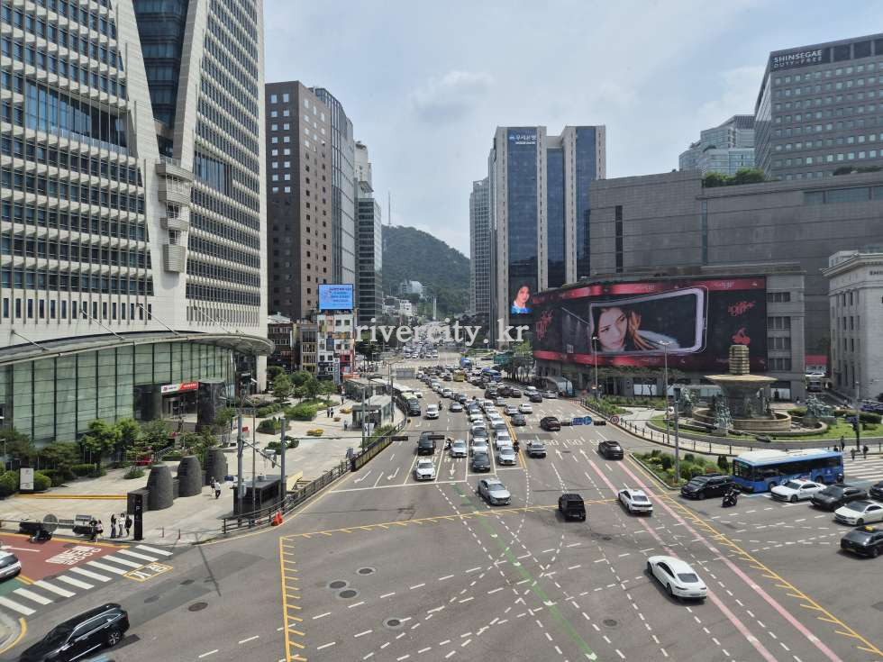 전망