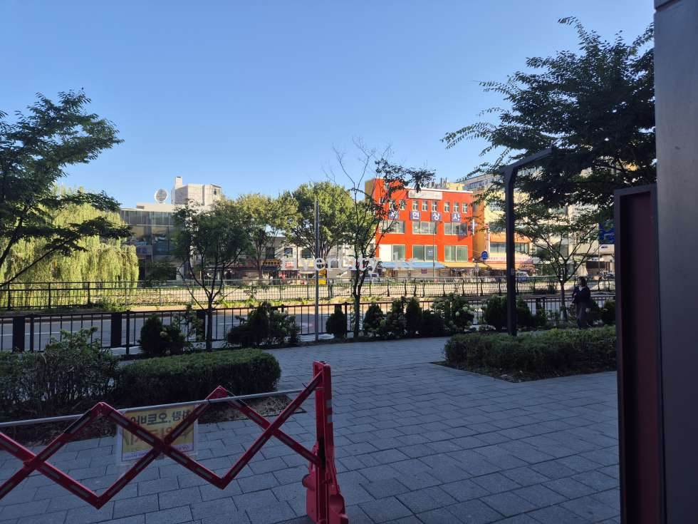 전경